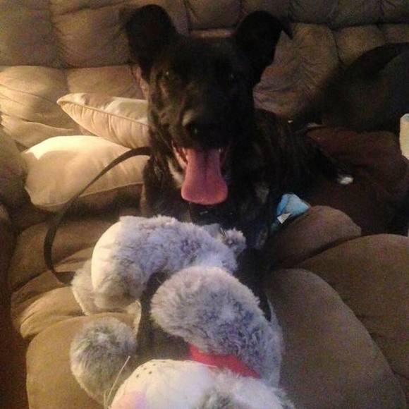 Meet your Posher, Josh - Picture 1 of 1